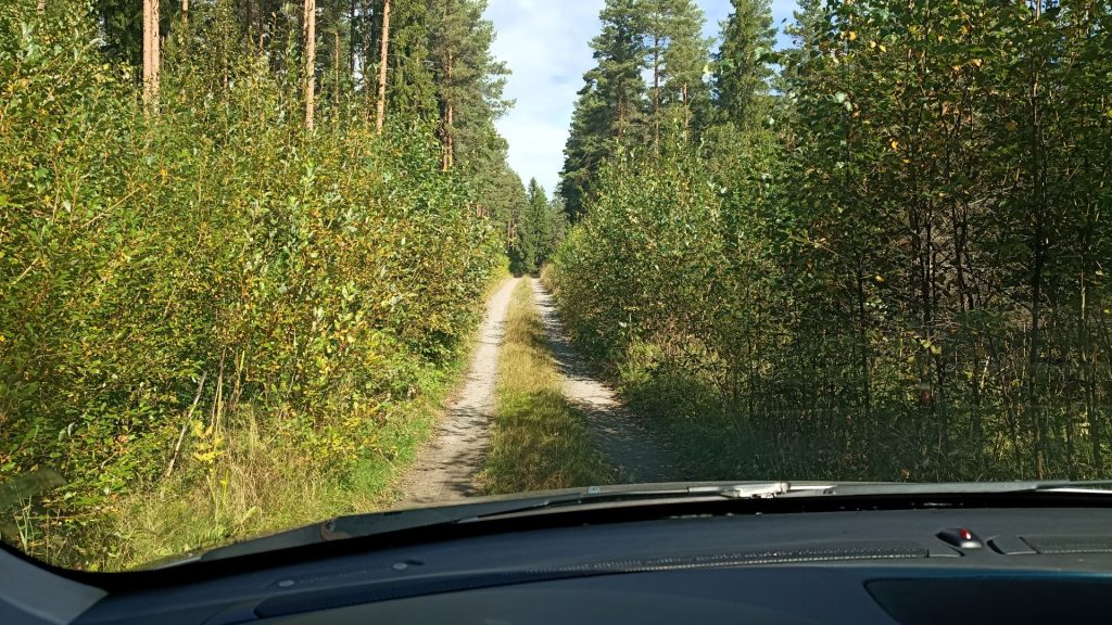 Tämä oli vielä siedettävämmästä päästä, paljon pahempiakin oli eli yli 5m:stä leppää ja halkaisijat jo 10cm