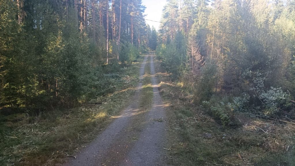 Ensimmäisen kuvan kohta vesakoituna yhdellä vedolla ja risteysalueet ojaan saakka tai sopivan leveäksi